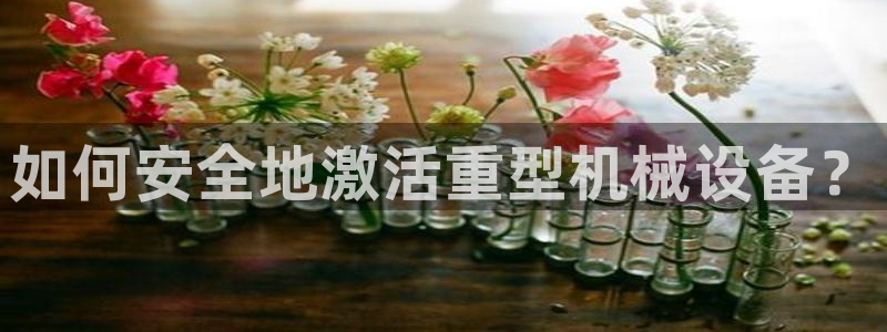 顺盈娱乐登录地址：如何安全地激活重型机械设备？