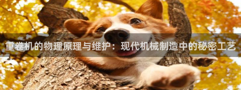 顺盈娱乐：重卷机的物理原理与维护：现代机械制造中的秘密工艺