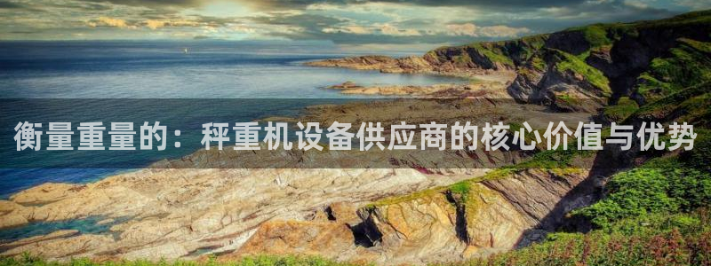 顺盈娱乐团购：衡量重量的：秤重机设备供应商的核心价值与优势