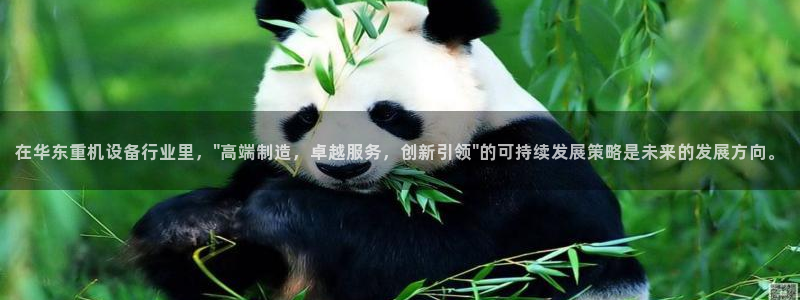 清远顺盈娱乐公司电话：在华东重机设备行业里，\