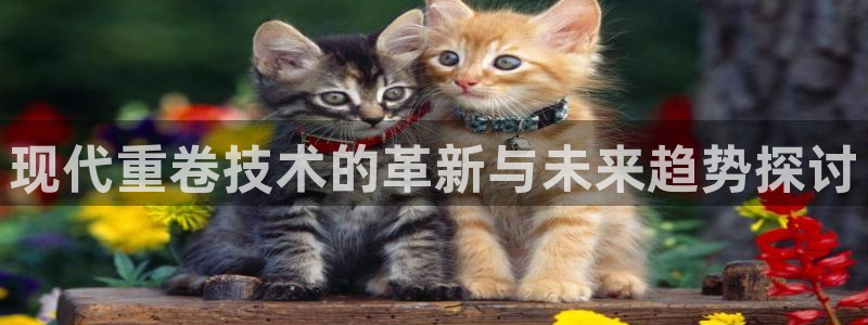 顺盈童欢娱乐有限公司：现代重卷技术的革新与未来趋势探讨
