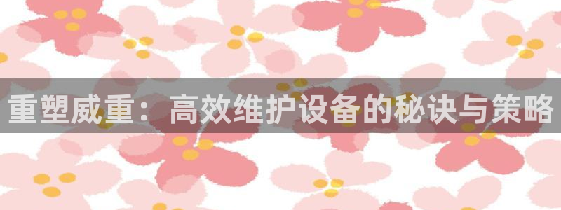 清远顺盈娱乐集团电话：重塑威重：高效维护设备的秘诀与策略