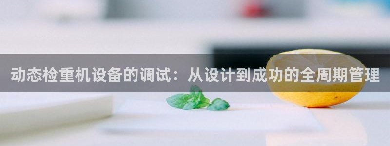 顺盈娱乐注册更究333OO：动态检重机设备的调试：从设计到成