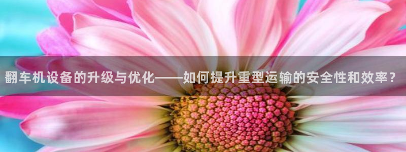 顺盈娱乐下载安装