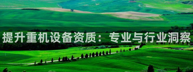 顺盈娱乐行求威判官333OO