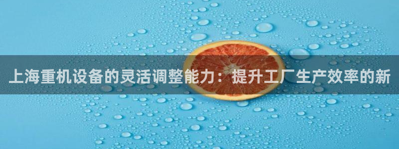 顺盈娱乐登录地址在哪看：上海重机设备的灵活调整能力：提升工厂