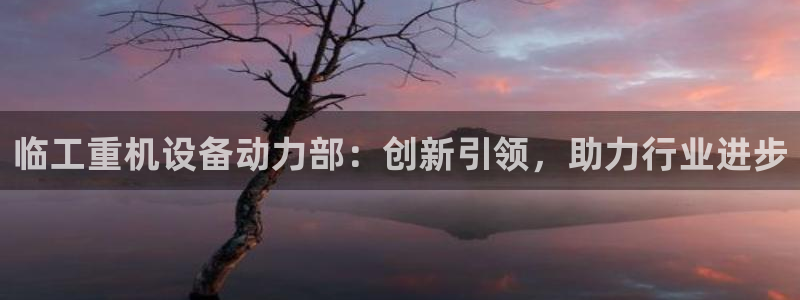 顺盈娱乐队究7276O