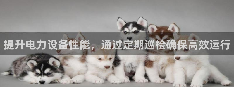 顺盈娱乐招商：提升电力设备性能，通过定期巡检确保高效运行