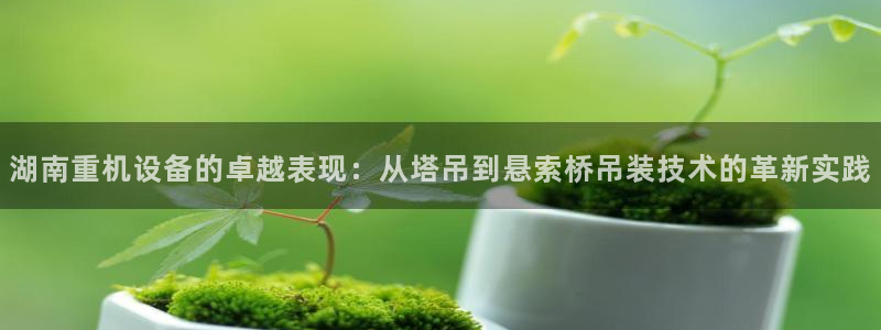 清远顺盈娱乐公司招聘：湖南重机设备的卓越表现：从塔吊到悬索桥