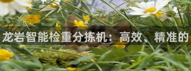 顺盈广场团购娱乐