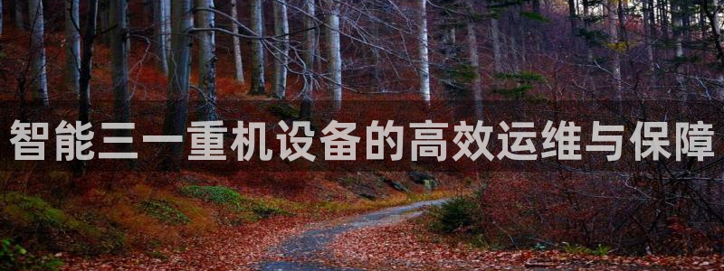 顺盈娱乐找382223