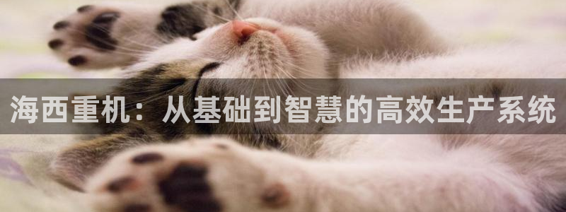 顺盈娱乐注册平台怎么样