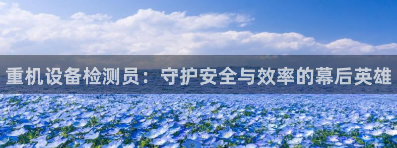 顺盈娱乐登录平台是什么