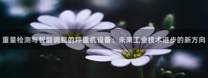 顺盈娱乐主管劳判官333OO