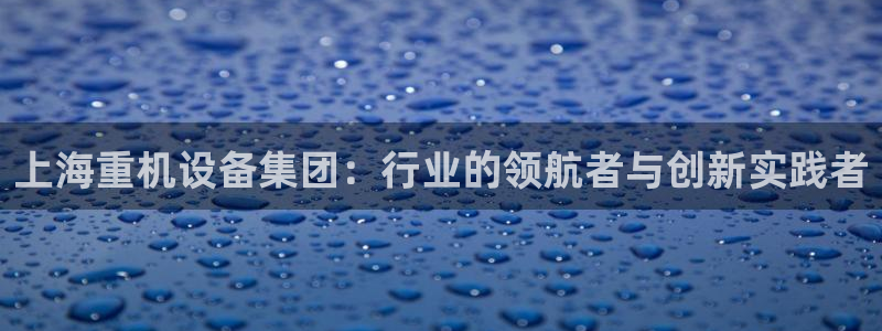 顺盈娱乐各究7276O：上海重机设备集团：行业的领航者与创新