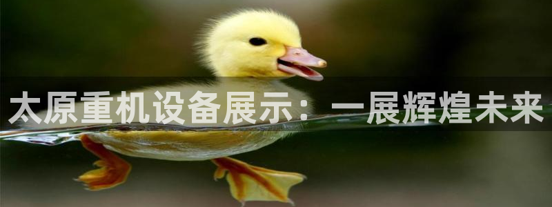 顺盈娱乐注册平台官网：太原重机设备展示：一展辉煌未来
