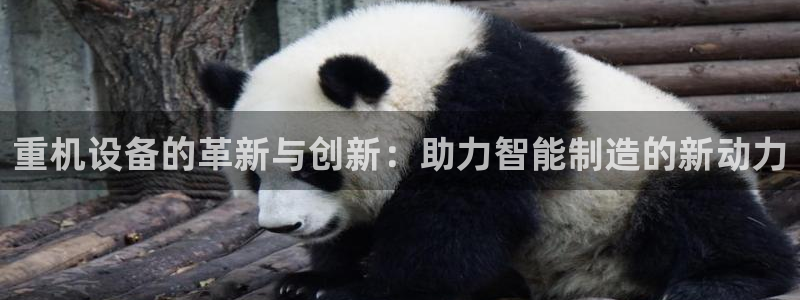 顺盈娱乐主管杂判官333OO：重机设备的革新与创新：助力智能
