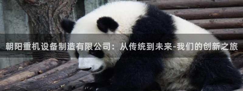 顺盈娱乐是什么意思：朝阳重机设备制造有限公司：从传统到未来-