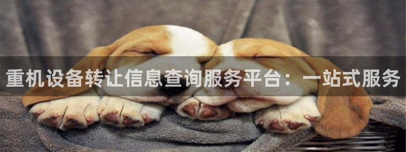 清远顺盈娱乐公司地址