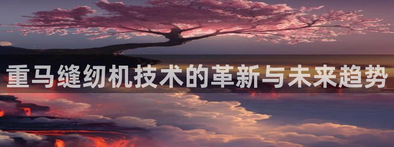 顺盈娱乐在线注册不了：重马缝纫机技术的革新与未来趋势
