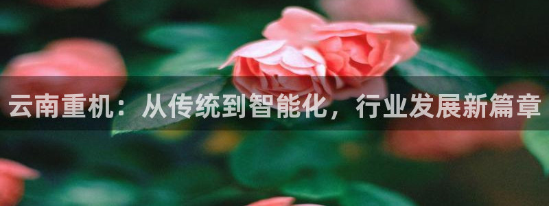 顺盈娱乐平台会黑人吗