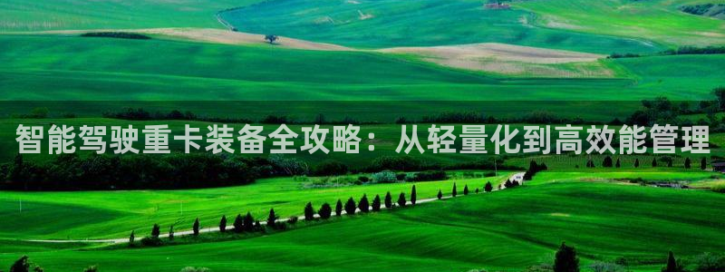 顺盈娱乐382223：智能驾驶重卡装备全攻略：从轻量化到高效
