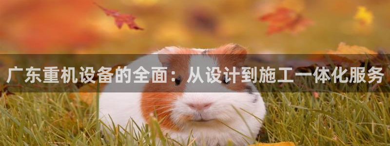 顺盈娱乐登录网址：广东重机设备的全面：从设计到施工一体化服务