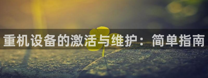 顺盈娱乐主管右原判官333OO