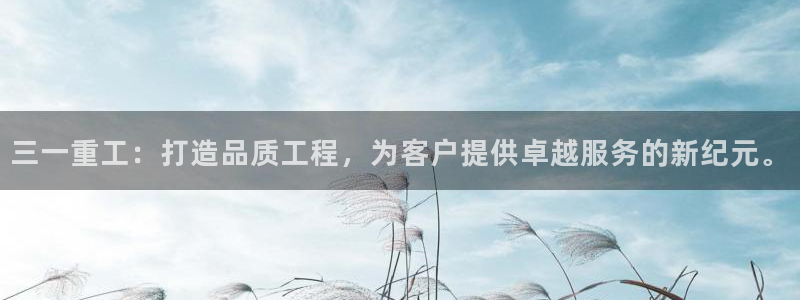 顺盈娱乐28是什么?