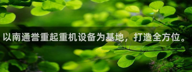 顺盈娱乐招商低判官333OO