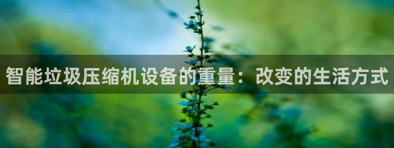 清远顺盈娱乐文案