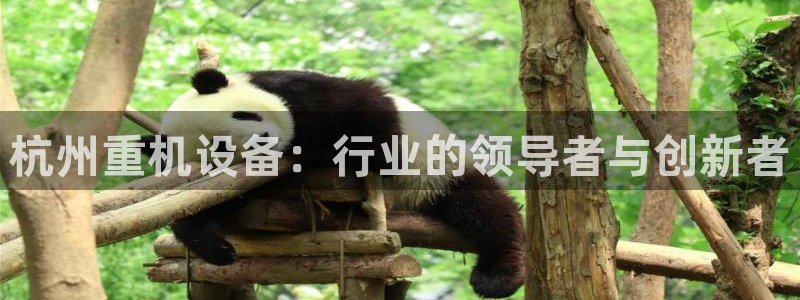 清远顺盈娱乐公司电话