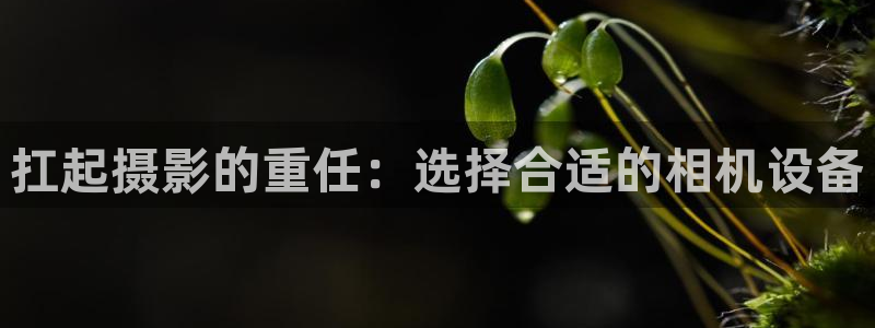 顺盈娱乐认究7276O