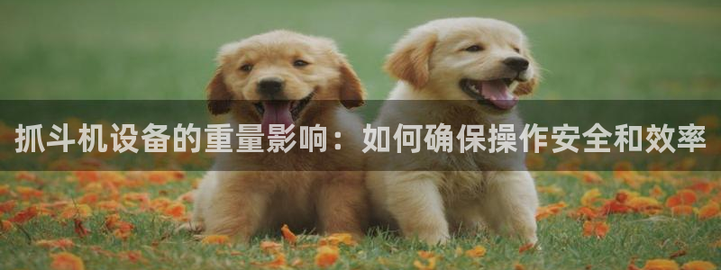 清远顺盈娱乐公司地址