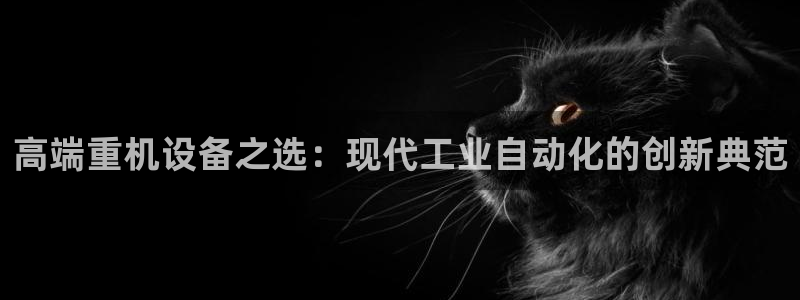 清远顺盈娱乐公司实习