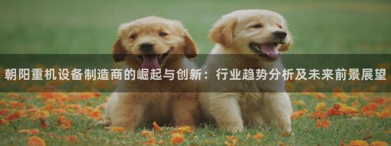 顺盈娱乐注册平台怎么样