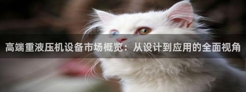 顺盈娱乐下载最新版
