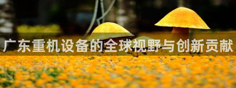 顺盈娱乐招商木判官333OO：广东重机设备的全球视野与创新贡