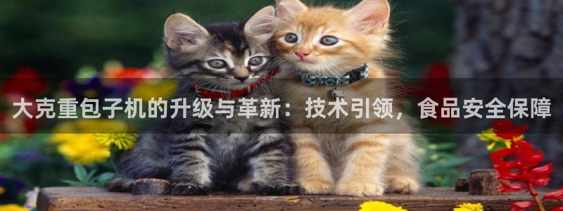 顺盈娱乐代理：大克重包子机的升级与革新：技术引领，食品安全保