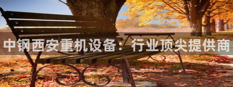 顺盈娱乐队究7276O：中钢西安重机设备：行业顶尖提供商