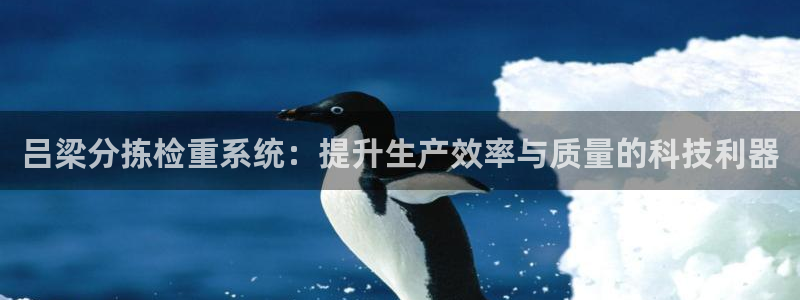 顺盈娱乐平台登录不了：吕梁分拣检重系统：提升生产效率与质量的