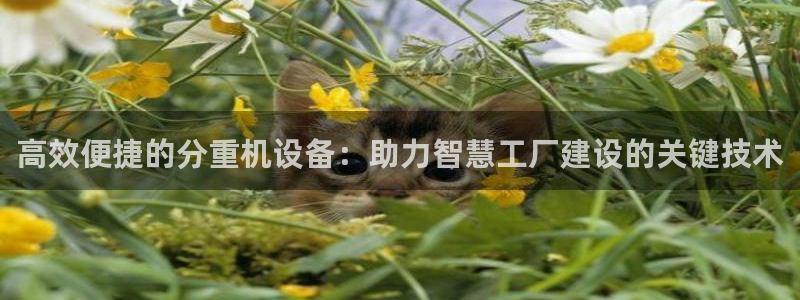 顺盈2娱乐主管啊判官333OO：高效便捷的分重机设备：助力智