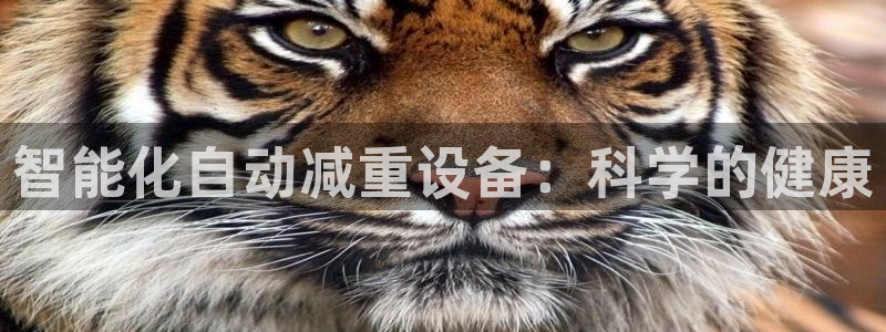 顺盈娱乐平台会黑人吗：智能化自动减重设备：科学的健康