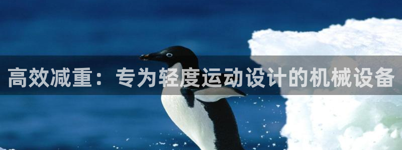 顺盈娱乐游戏开发商：高效减重：专为轻度运动设计的机械设备