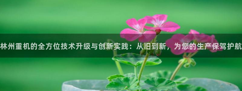 清远顺盈娱乐集团地址