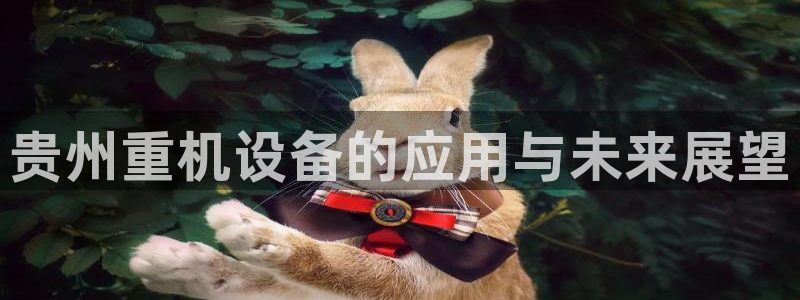 盈顺棋牌娱乐室地址查询：贵州重机设备的应用与未来展望