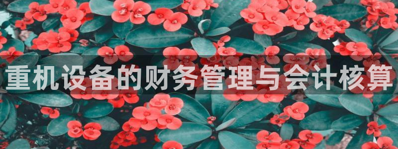 清远顺盈娱乐城：重机设备的财务管理与会计核算