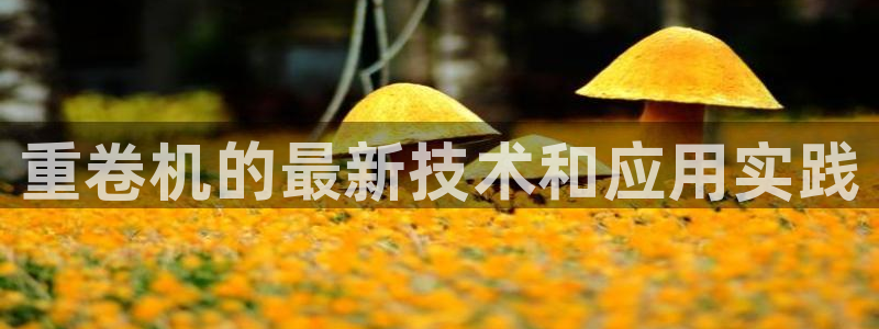 清远清城区顺盈娱乐