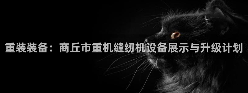 顺盈娱乐语7O777：重装装备：商丘市重机缝纫机设备展示与升