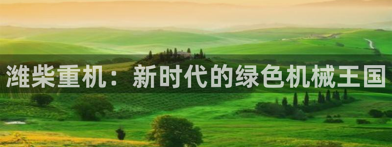 顺盈娱乐在线注册不了：潍柴重机：新时代的绿色机械王国